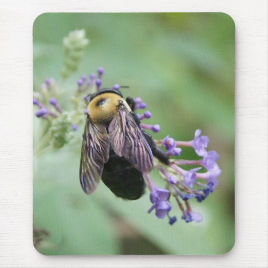 Tapis De Souris Bee-autiful Bee (Devant)