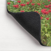 Tapis De Souris Bee Balm (Bergamot) (Coin)