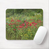 Tapis De Souris Bee Balm (Bergamot) (Avec souris)
