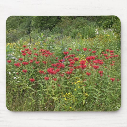 Tapis De Souris Bee Balm (Bergamot) (Devant)
