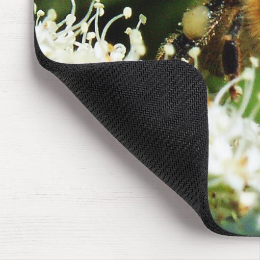 Tapis De Souris Beeog (Coin)