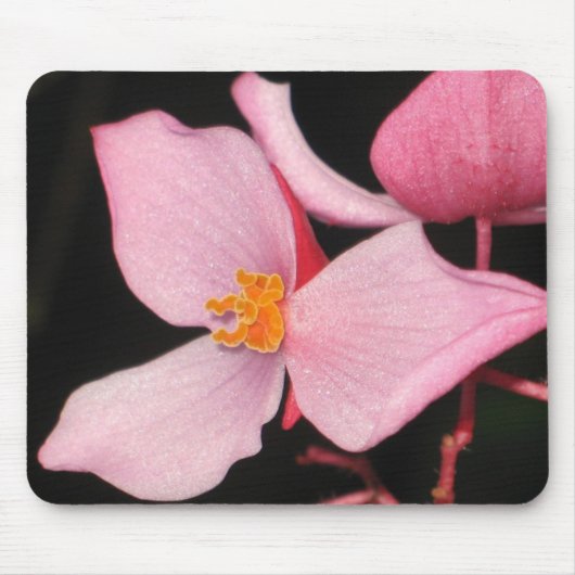 Tapis De Souris Bégonia rose Mousepad (Devant)