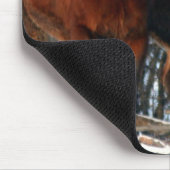 Tapis de souris belge de chevaux de trait (Coin)
