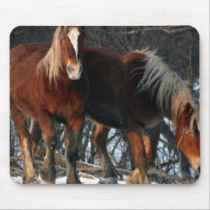 Tapis de souris belge de chevaux de trait