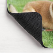 Tapis De Souris Belge Malinois Mousepad (Coin)