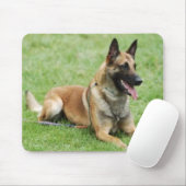 Tapis De Souris Belge Malinois Mousepad (Avec souris)