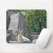 Tapis De Souris béliers (Avec souris)