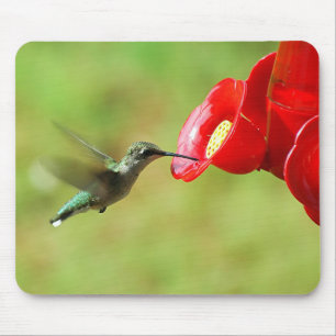 Tapis De Souris Belle alimentation de colibri