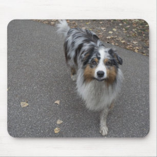 Tapis De Souris Belle Aussie multicolore
