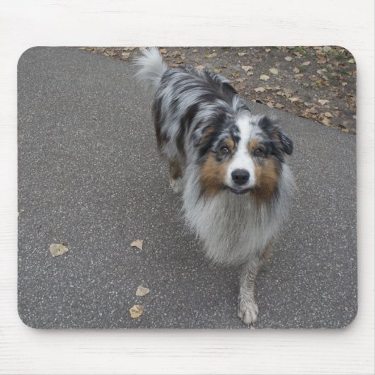 Tapis De Souris Belle Aussie multicolore (Devant)