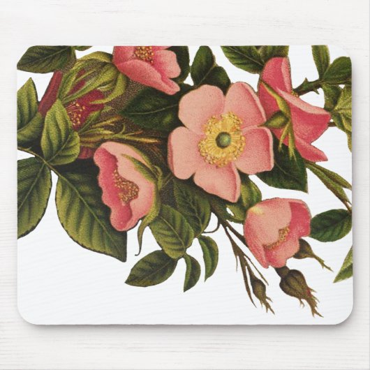 Tapis De Souris Belle Botanique rose Rose vintage (Devant)