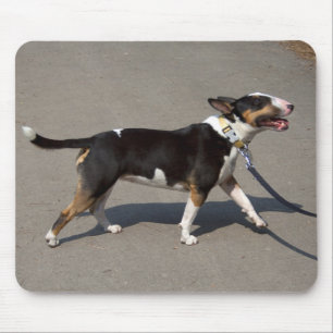 Tapis De Souris Belle Bullterrier Tricolore