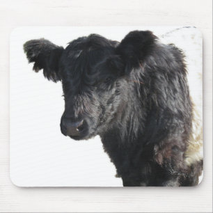 Tapis De Souris Belle ceinture de galloway Steer