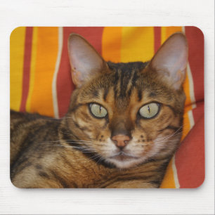 Tapis De Souris Belle Chat Bengale