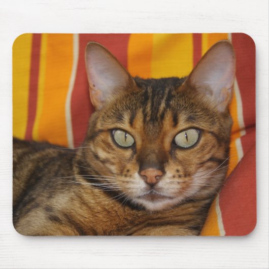 Tapis De Souris Belle Chat Bengale (Devant)