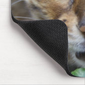Tapis De Souris Belle Chat Bengale (Coin)