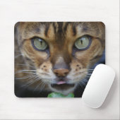 Tapis De Souris Belle Chat Bengale (Avec souris)