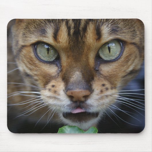 Tapis De Souris Belle Chat Bengale (Devant)