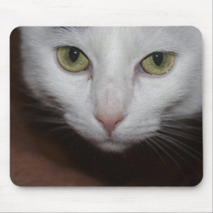 Tapis De Souris Belle Chat Blanc