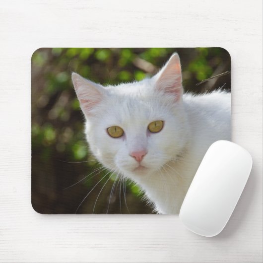 Tapis De Souris Belle Chat Blanc (Avec souris)