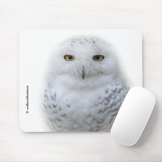 Tapis De Souris Belle, Dreamy et Serene Snowy Owl (Avec souris)