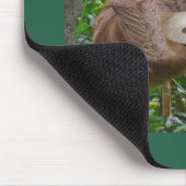 Tapis De Souris Belle Écriture de Sloth : Ephésiens 4:32 (Coin)