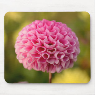 Tapis De Souris Belle Fleur de Dahlia à Boule Rose