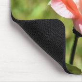 Tapis De Souris Belle Fleur rose Parfaite (Coin)