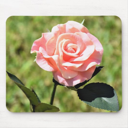 Tapis De Souris Belle Fleur rose Parfaite (Devant)