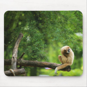 Tapis De Souris Belle Gibbon à manche blanche sur un arbre