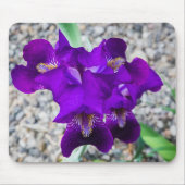 Tapis De Souris Belle iris violet (Devant)