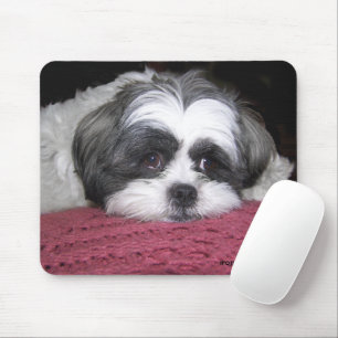 Tapis De Souris Belle Le Shih Tzu