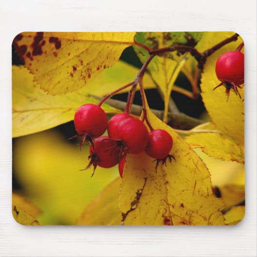Tapis De Souris belle mousepad d'automne (Devant)