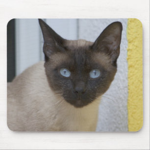 Tapis De Souris Belle pointe de phoque Chat siamois