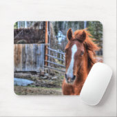 Tapis De Souris Belle Red Dun Ranch Horse Equine Photo (Avec souris)