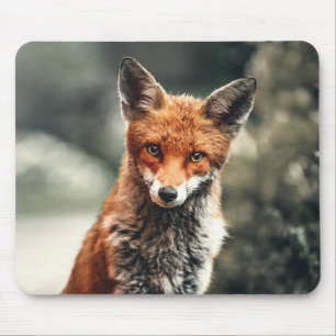 Tapis De Souris Belle Renard dans la nature