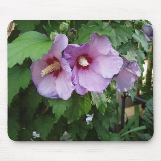 Tapis De Souris Belle souris à fleurs (Devant)