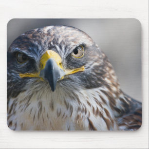 Tapis De Souris Belle Souris Aigle