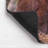 Tapis De Souris Belle Souris Brown Ours (Coin)