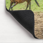 Tapis De Souris Belle Souris Cheval (Coin)