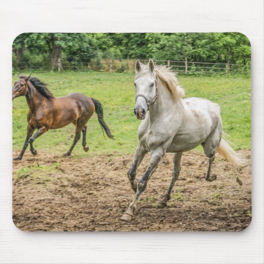 Tapis De Souris Belle Souris Cheval (Devant)
