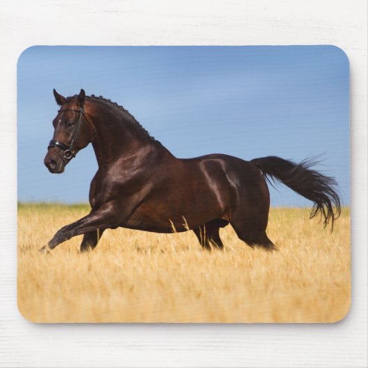 Tapis De Souris Belle souris de cheval (Devant)