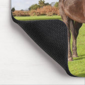 Tapis De Souris Belle souris de cheval (Coin)