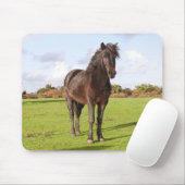 Tapis De Souris Belle souris de cheval (Avec souris)