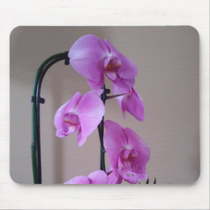 Tapis De Souris Belle souris d'orchidée