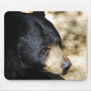 Tapis De Souris Belle souris d'ours noir