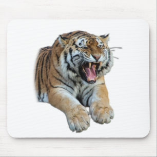 Tapis De Souris Belle Tigre Bengale Visage & Teeth Photo