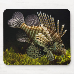 Tapis De Souris Belle vue rapprochée sous-marine d'un poisson lion