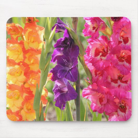 Tapis De Souris Belles fleurs de glaïeul (Devant)