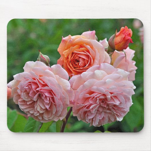 Tapis De Souris Belles roses roses roses (Devant)